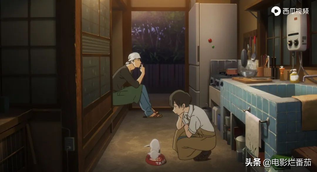 这部温情的撸猫片，让我哭得溃不成军，这是全世界猫*党**的胜利