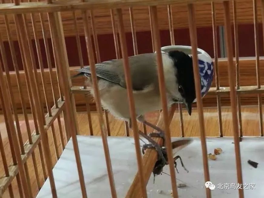 细谈聊天的学问,细聊a股短线卖点问题