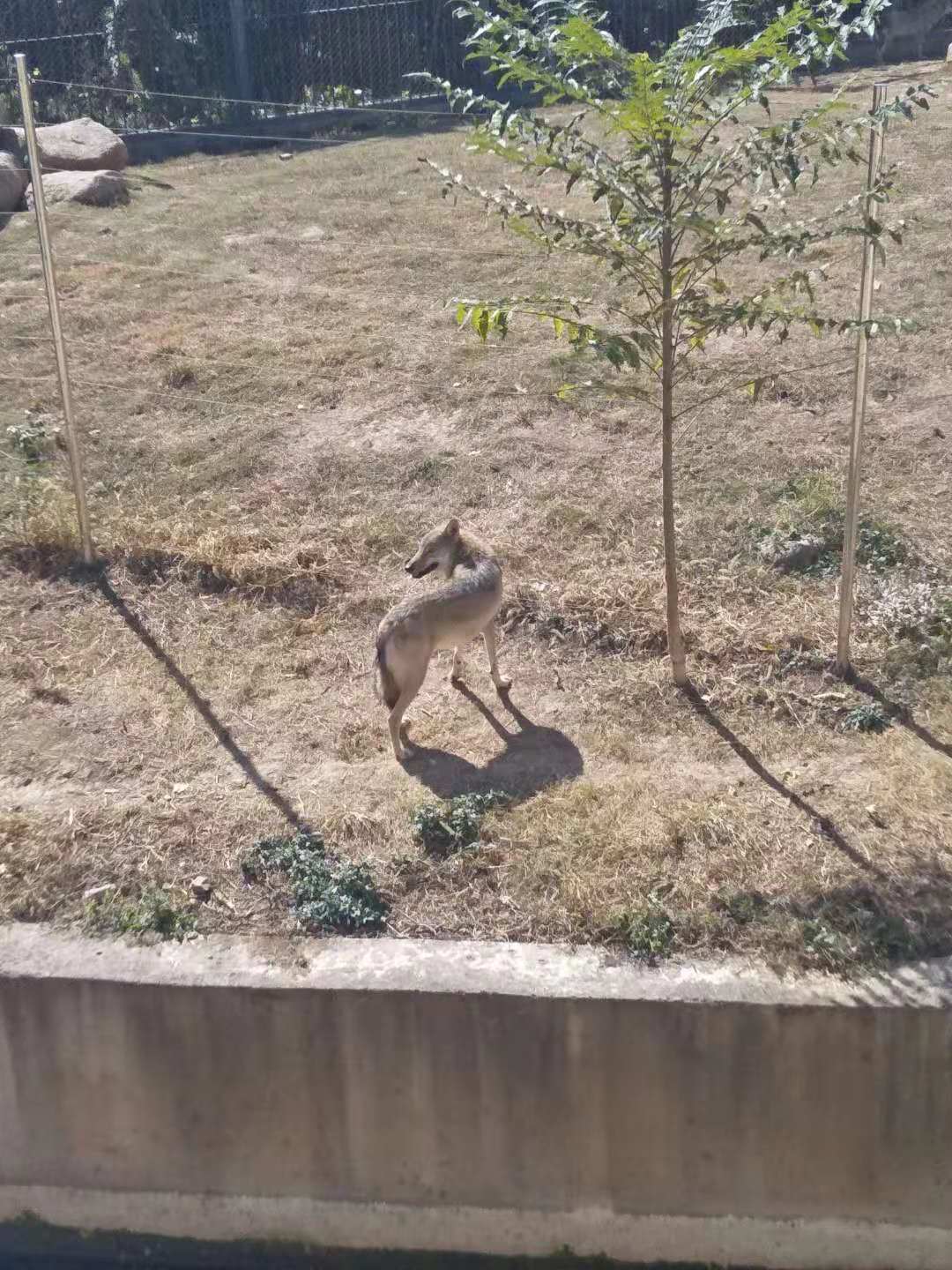 苏州上方山动物园,苏州上方山