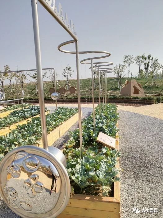 北京遛娃网红打卡地,北京又添一波遛娃新去处