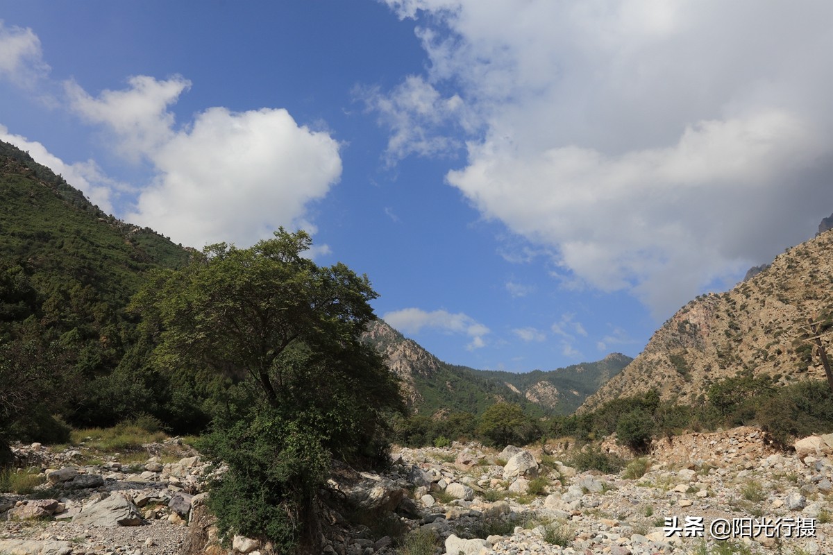 静谧森林和沙漠交界处,静谧森林红色石头