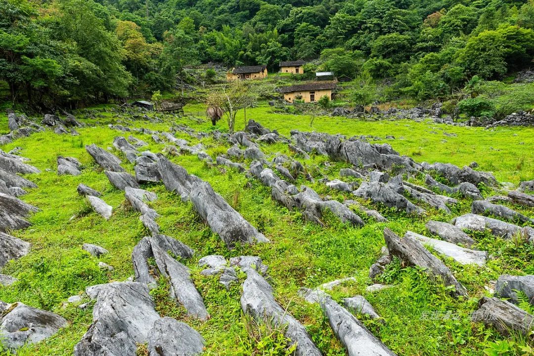 徒步穿越秦岭无人区,徒步穿越喀斯特森林