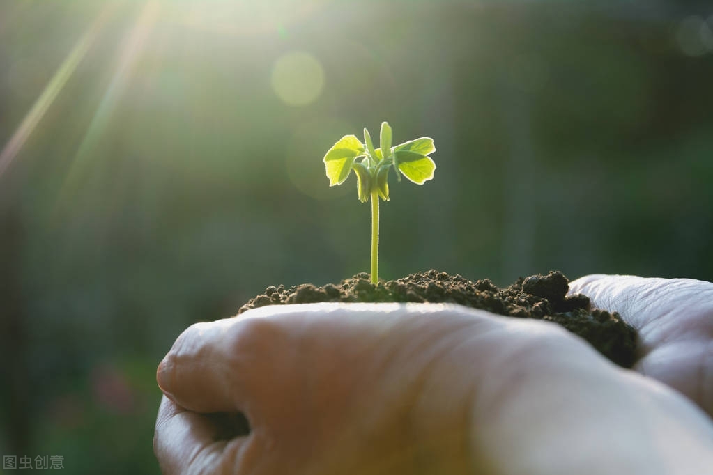 肿瘤复发后，卵巢癌患者该何去何从？