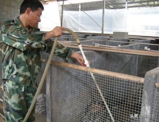 农村小伙靠什么养殖赚钱,农村利润很吓人的10个冷门养殖