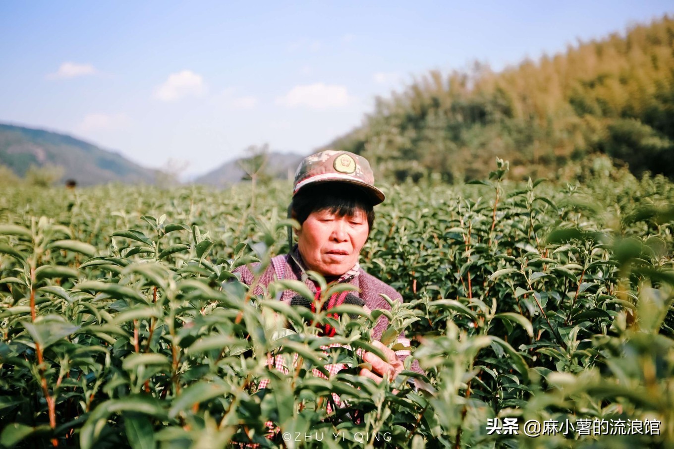 最早的抹茶是什么茶做的,日本抹茶源于中国唐宋的点茶法