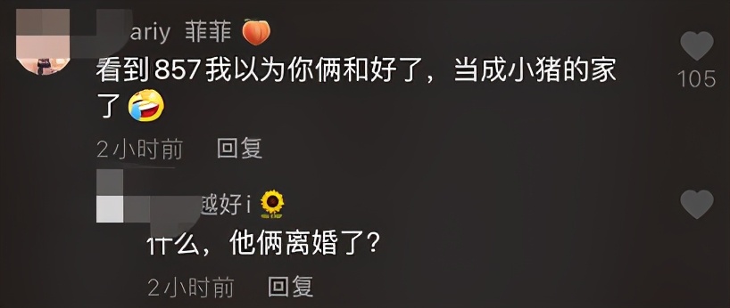 韩安冉1300w豪宅曝光,助理单独有房间,欧式装修满满公主风