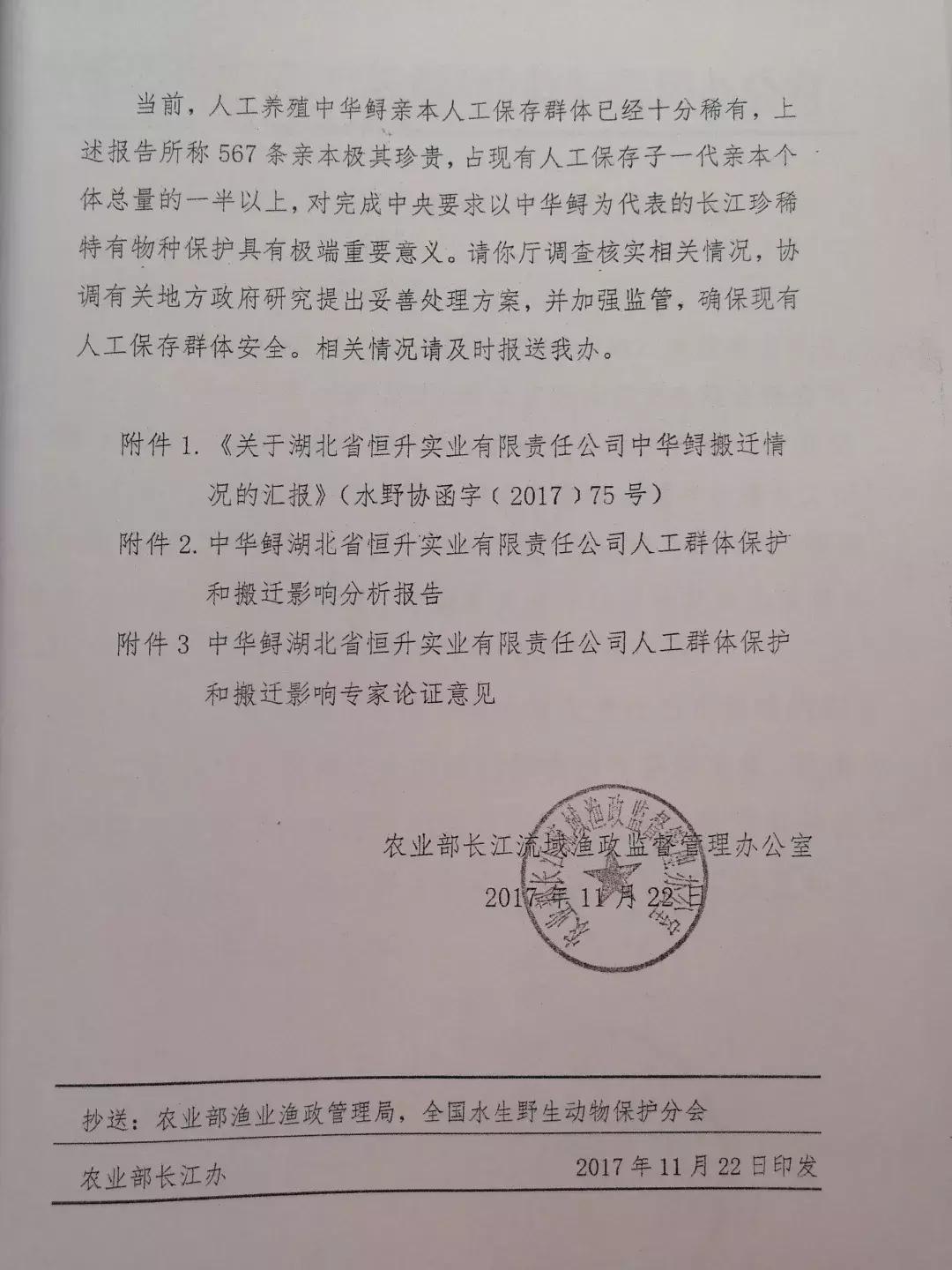 谁杀死了“大鱼”？——生死中华鲟