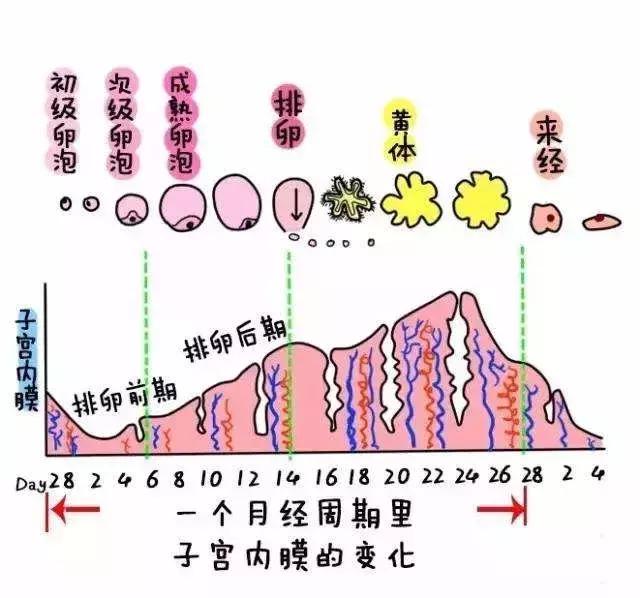 减肥日记100个视频,减肥日记女200多斤