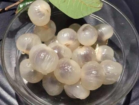 适合冬天喝的红豆粥,寒露过后喝什么五谷粥好