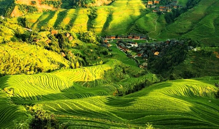 来宾有个县是“广西最大的药物基因库”被誉为天然的“万宝山”