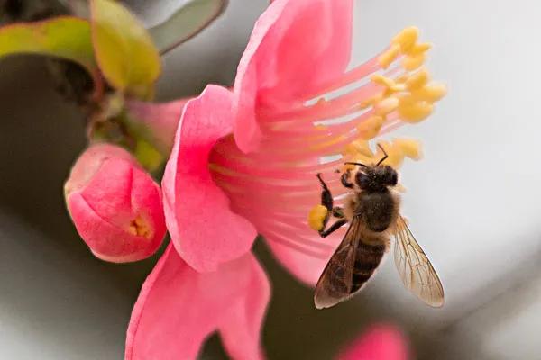男带寡宿加红艳是什么意思,男带红艳煞什么意思