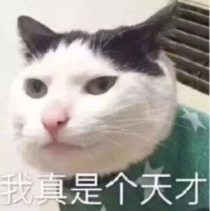 出境游导游证,出境旅游领队证还能用吗