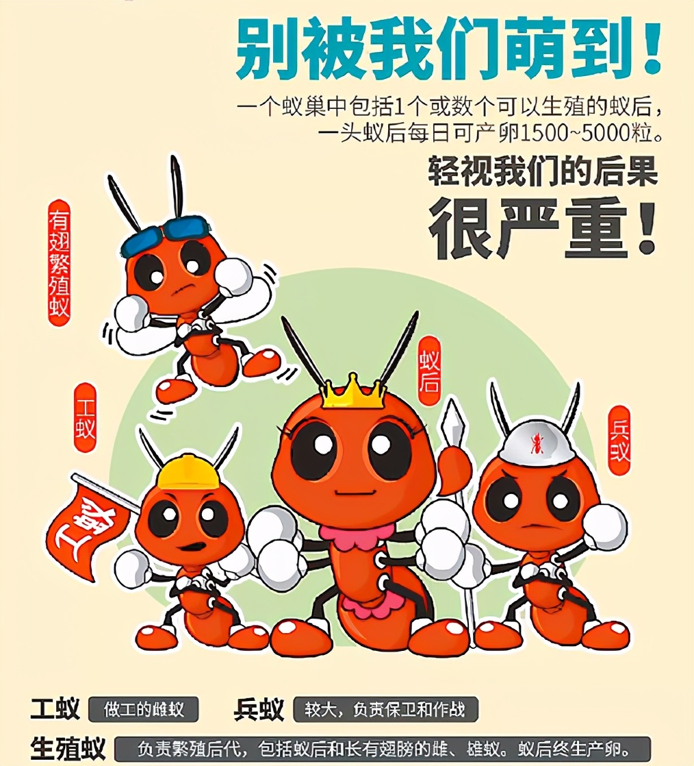 很毒！碰到这种小土堆躲远点