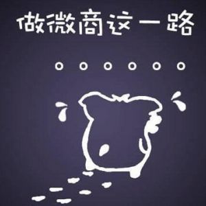 新手如何做网赚行业,网赚新手如何做项目