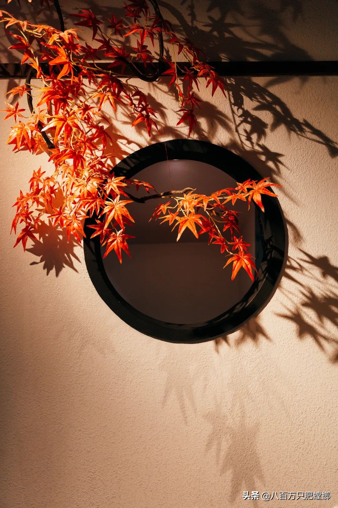 章鱼火锅日式,会动的章鱼海鲜火锅