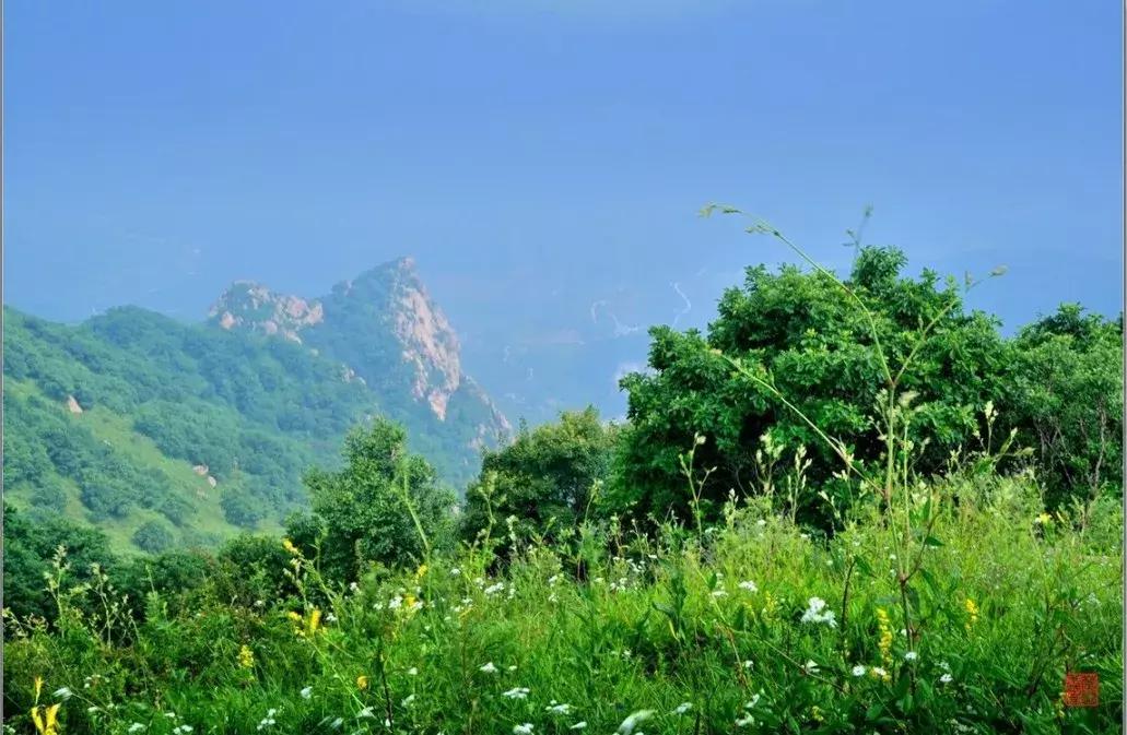 清明去哪儿玩|盘点那些值得打卡的北京周边小众景点！