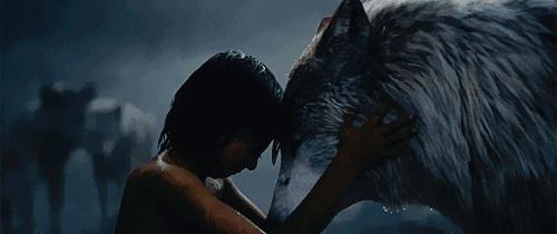 英语听力电影动画片,英语电影听力