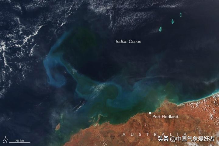 澳洲西部大片海水神秘变绿，太空可见！美国卫星数据揭开谜底