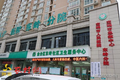 宝鸡东岭西部第一村,陕西宝鸡东岭村简介