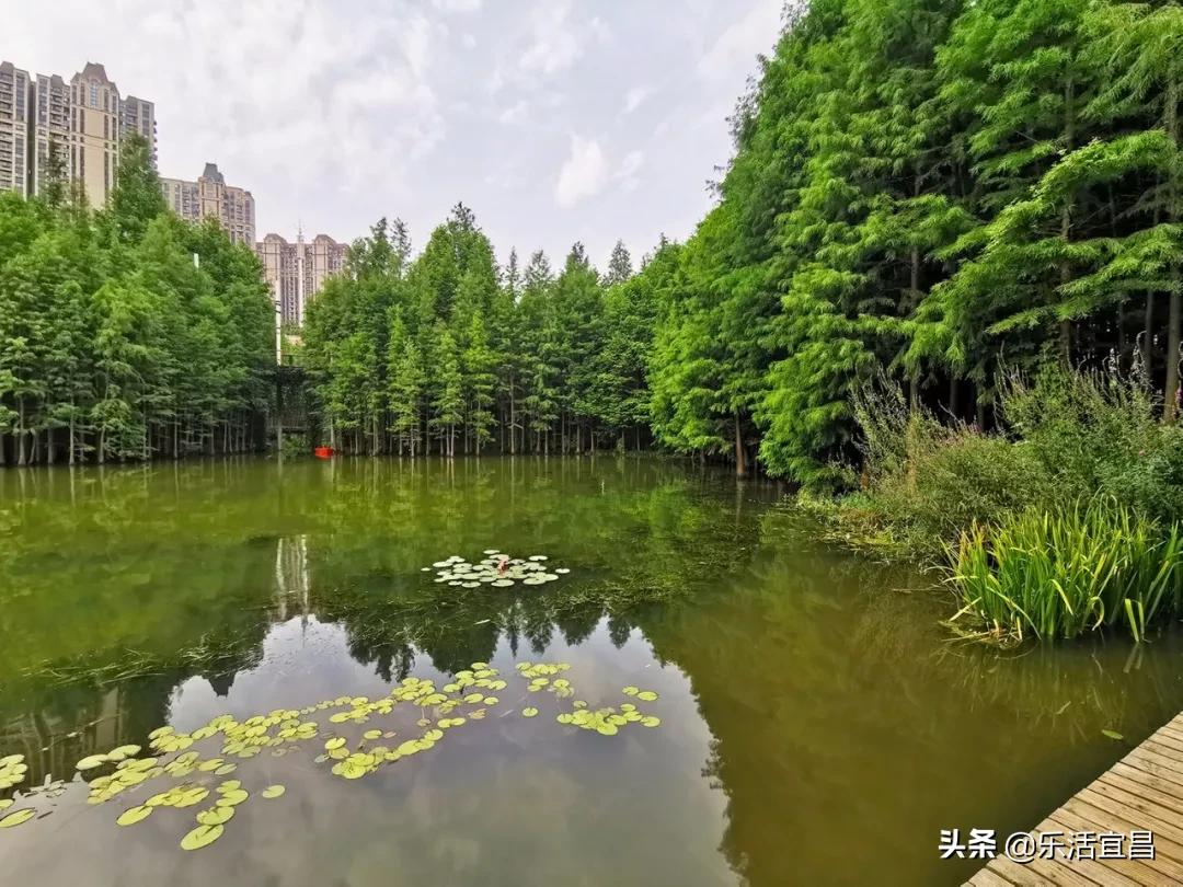 等阴霾散去，春暖花开时节，我想和你一起在宜昌做这100件事