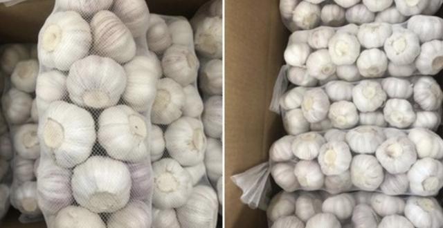 大蒜多少钱一斤？2019年5月大蒜行情鲜蒜上货大增行情向好发展