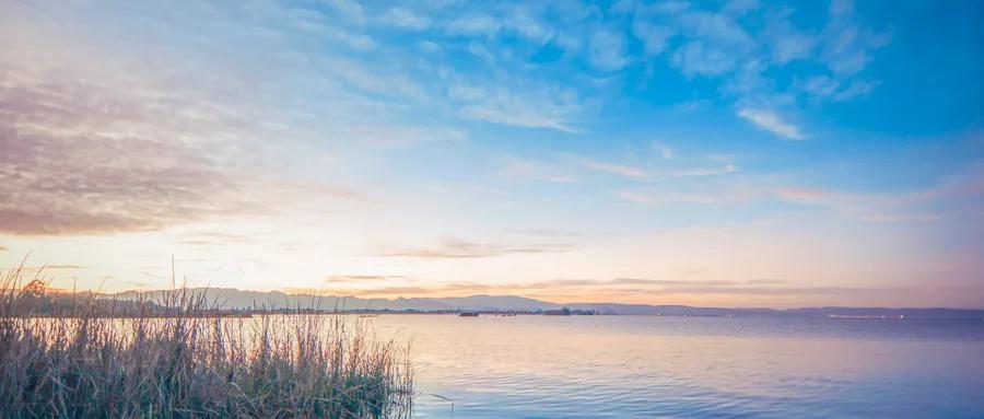 松北新区最新规划图高清,松北即将新建公园