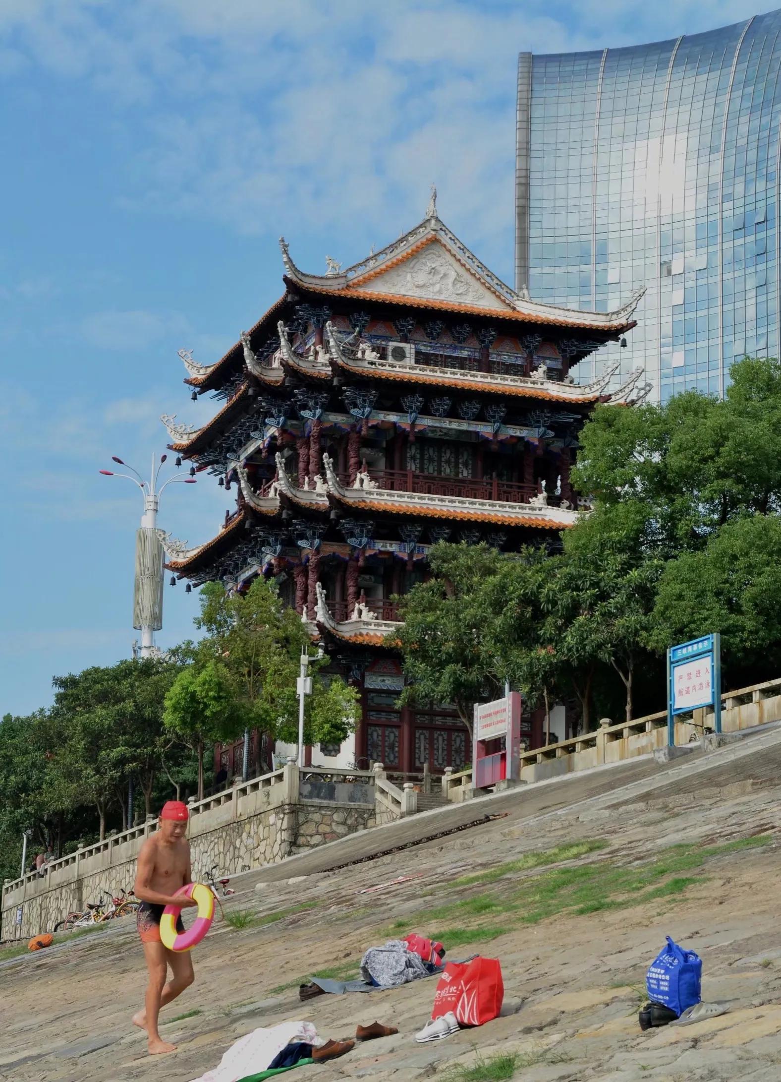 宜昌今日猪价,宜昌宜都新闻最新消息