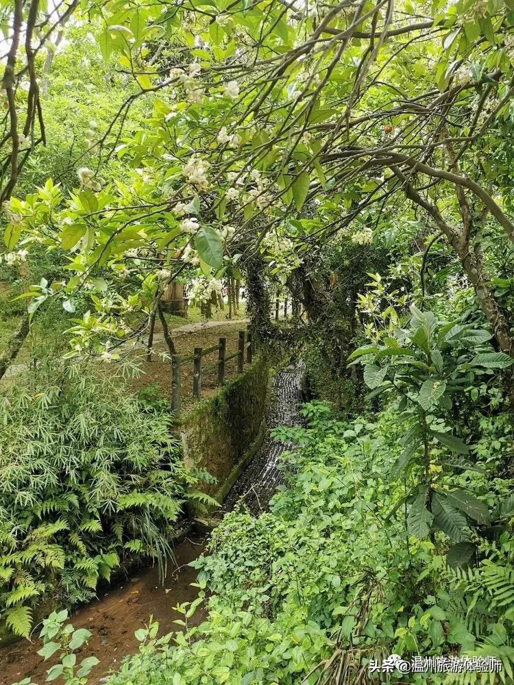 洞头桃源里,温州洞头玖栖海上桃源里