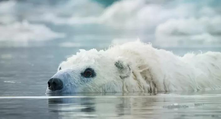 豆瓣9.8分悬疑大片,窥探电视剧豆瓣评分