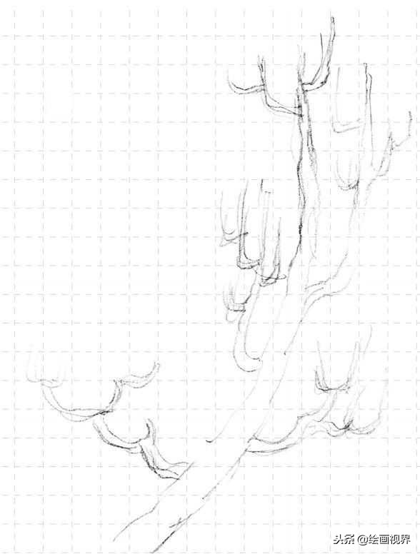 钢笔画入门教程花鸟,钢笔画入门基础教程人物