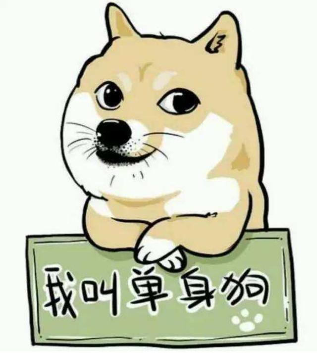 为什么要打完疫苗才能给宠物绝育,为什么这么多人都想给宠物做绝育