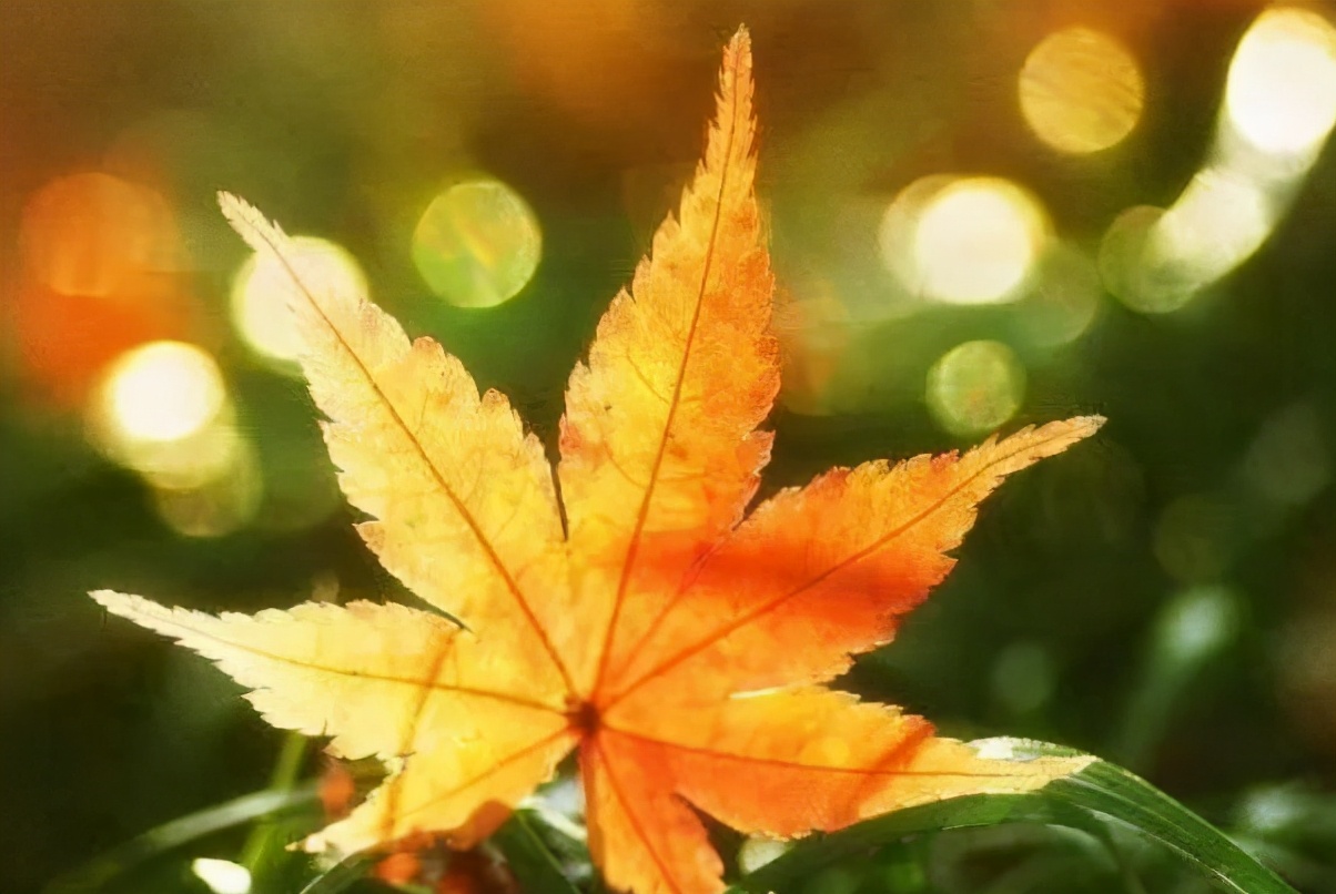 对不起我们不要联系了怎么回复,对不起我们不要再联系了句子