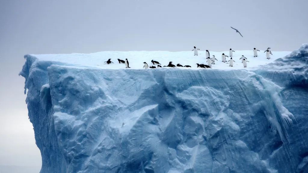香港第14届全国摄影艺术展,第29届全国摄影艺术展览获奖名单