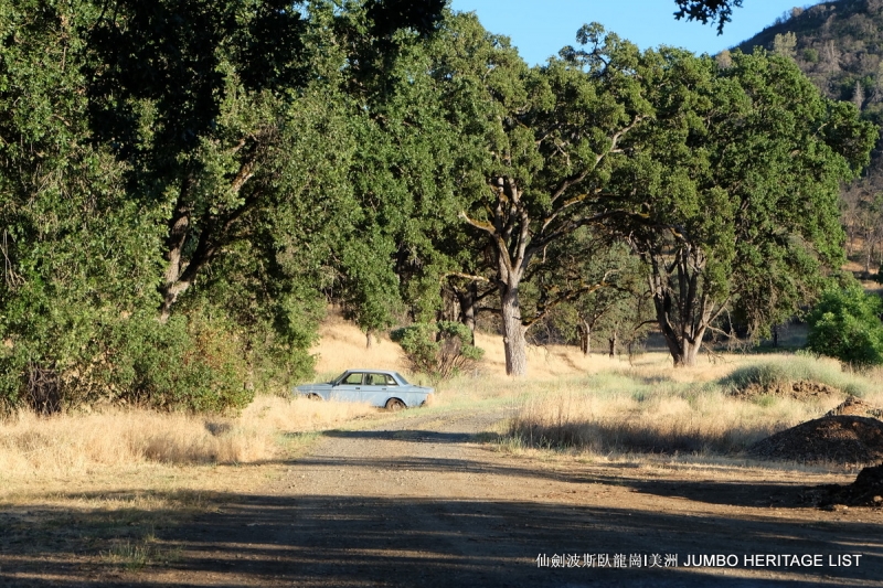 第3045回：人生一世草生一春，来如风雨去似微尘