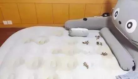 “煮了几天饭后,我在米缸里挖到了猫屎...”