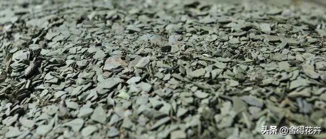 养花的铺石有哪些种类,养花石怎么种植好呢