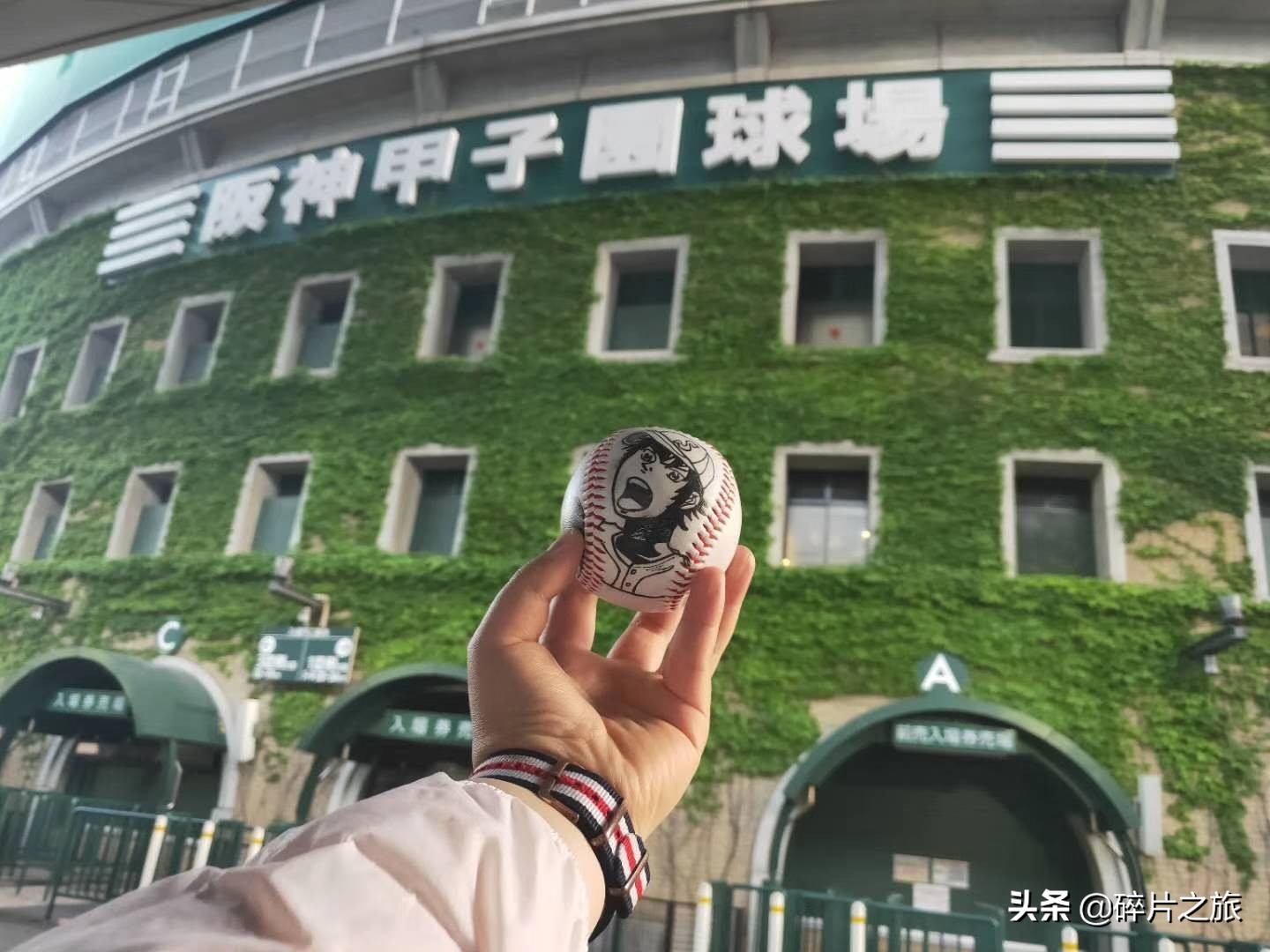 豪华游轮日本游旅游攻略,特价日本豪华游轮旅游攻略