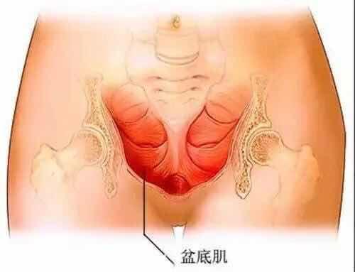 剖腹产后坐月子小建议,不管是顺产还是剖腹产一定要坚强