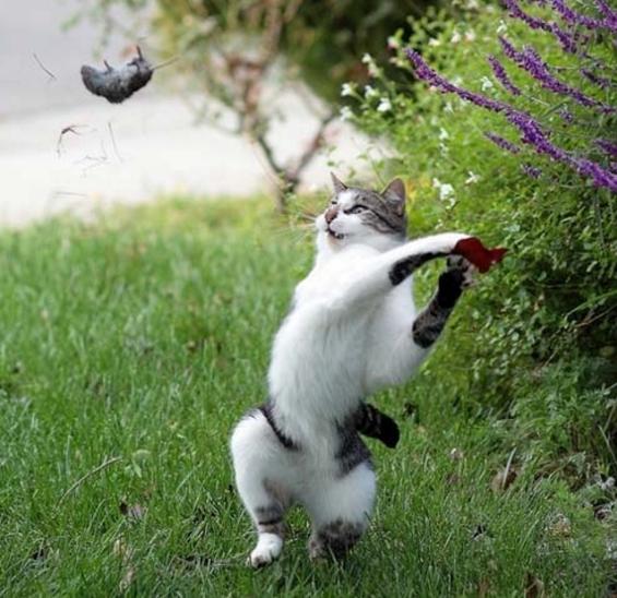 搞笑图片大全二十四张,搞笑图片大全集