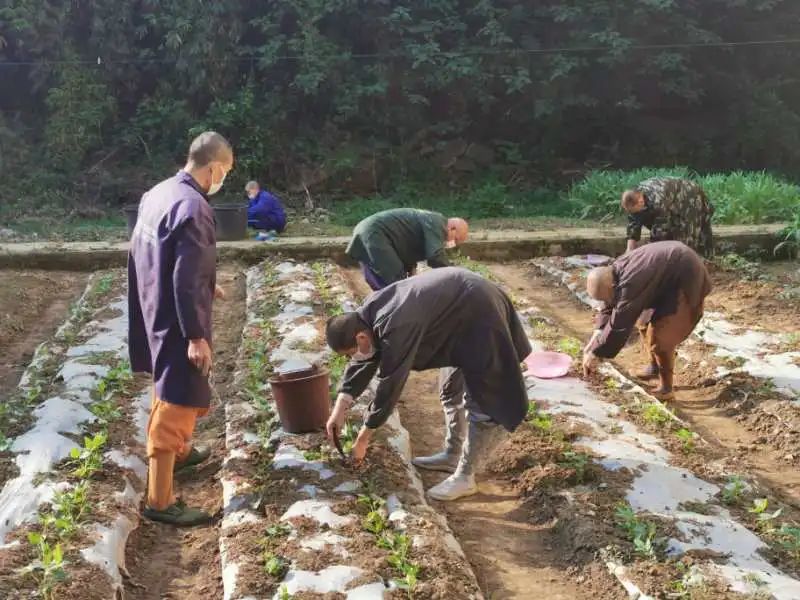 抢抓农时开展农业生产,农民纷纷抢抓春耕生产有利时机