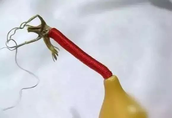 葫芦龙头断了怎么修剪,葫芦龙头怎么去掉