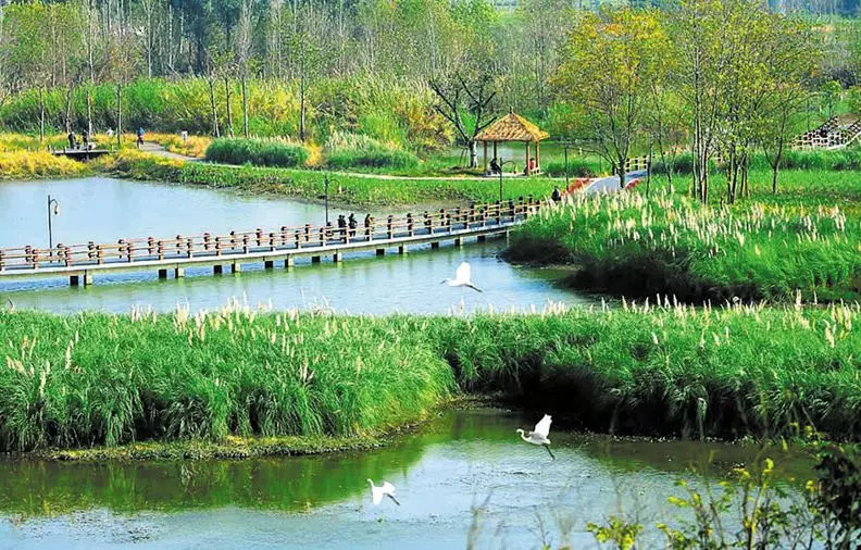 前所未有开新篇成都建设大美公园城市