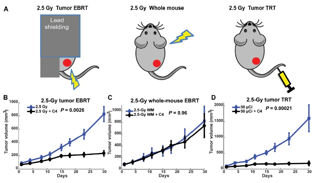 放射性核素治疗的肿瘤,放射性核素治疗癌症效果好吗