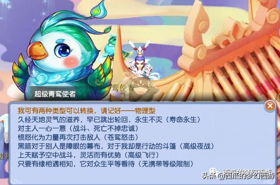 梦幻西游bb环最全攻略,梦幻西游bb鉴定