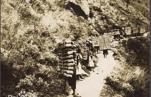 顺子的故事,顺子的故事全集