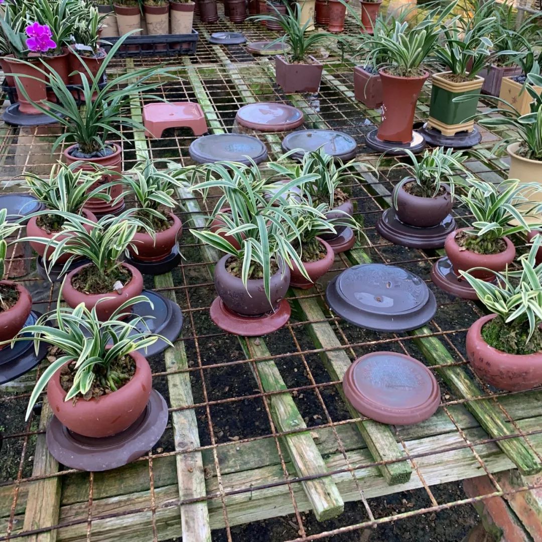 韶关最美乡村游,广东韶关乡村大自然的风景