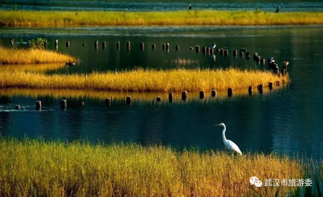 武汉攻略地铁,武汉高铁游最强攻略