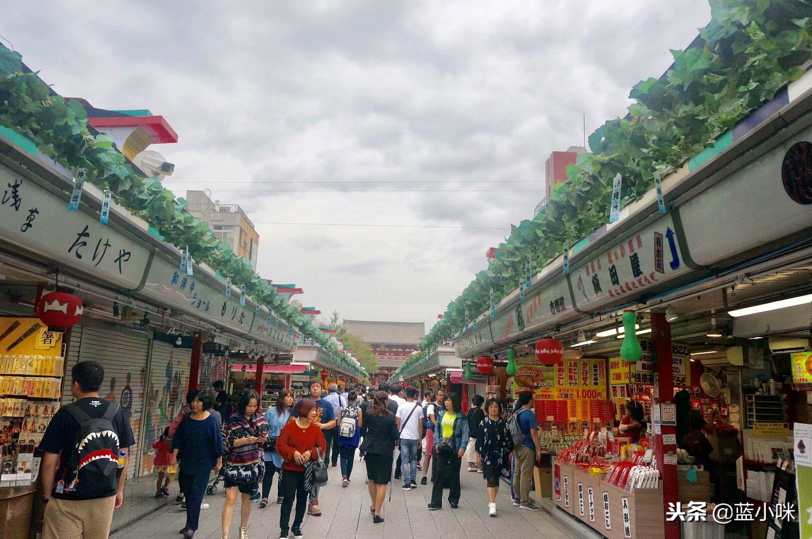 东京富士山镰仓一日游,东京旅游攻略镰仓一日游