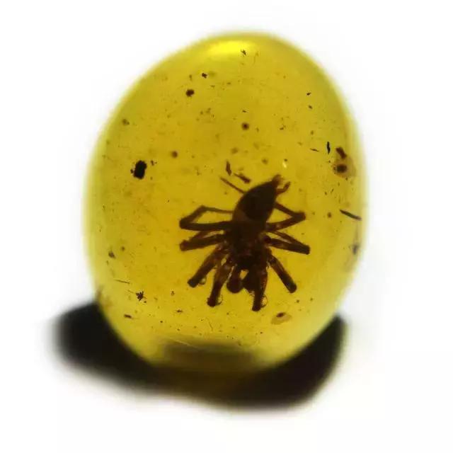 波罗的海蜜蜡的最全分类专业篇,蜜蜡的种类及名称和图片