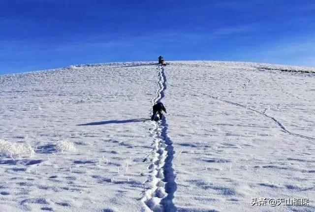 上榜啦！*疆新**鸟市和石市即将被国家命名！未来发展不可估量